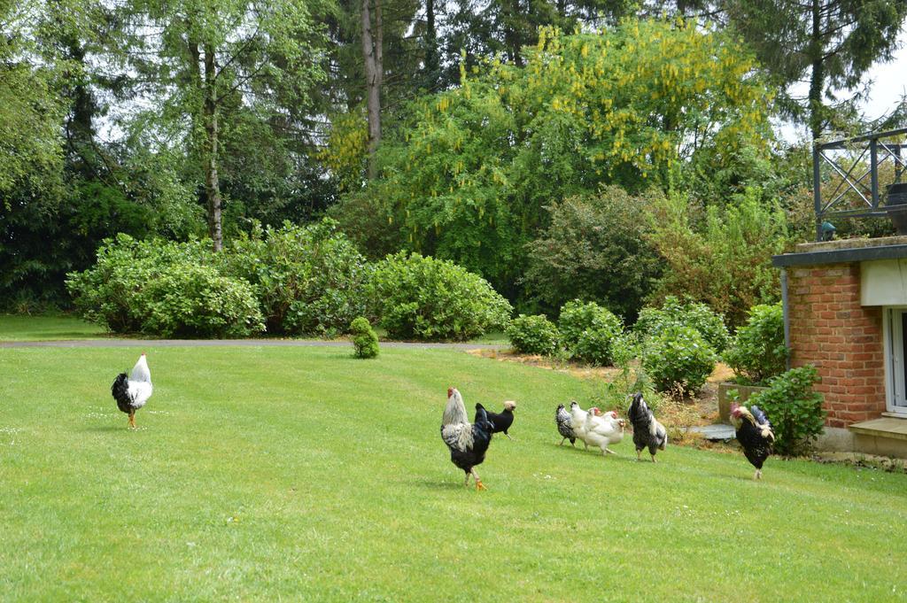 La Grange Des Marettes Bed & Breakfast Cleres Luaran gambar